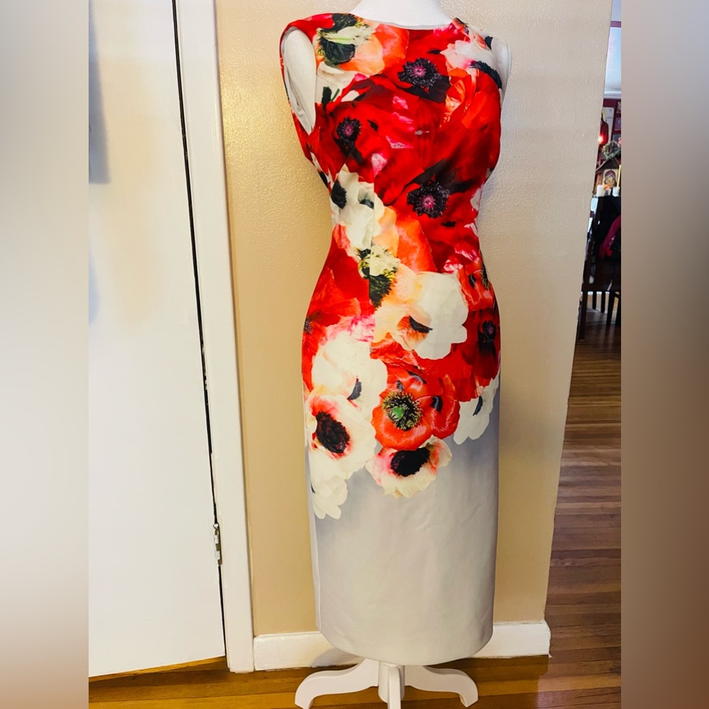 Adrianna Papell Dress